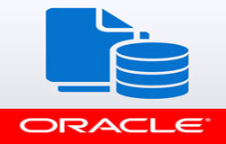 Oracle数据库管理工具有哪些?-北京开云线上平台,开云（中国）公司