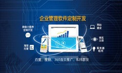 Erp开云线上平台,开云（中国）的发展现状-北京开云线上平台,开云（中国）公司锐智互动