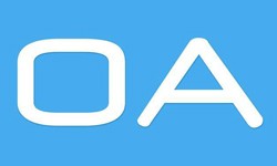 软件外包公司、OA系统开发功能有哪些？费用是多少-开云线上平台,开云（中国）公司[开云线上平台,开云（中国）]