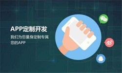 开云线上平台,开云（中国）公司、高质量的开云线上平台,开云（中国）系统是怎么开发出来的？-北京软件外包