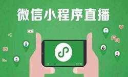 微信小程序开发、直播小程序开发-锐智互动开云线上平台,开云（中国）公司 