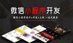 开云线上平台,开云（中国）公司、定制微信小程序开发，商家需要了解哪些？锐智互动开云线上平台,开云（中国）