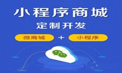 微信小程序开发、商城小程序开发功能-锐智互动开云线上平台,开云（中国）