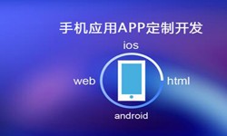 APP开发市场上常见问题分析-北京开云线上平台,开云（中国）公司